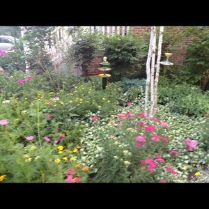 Meet your Posher, Linda